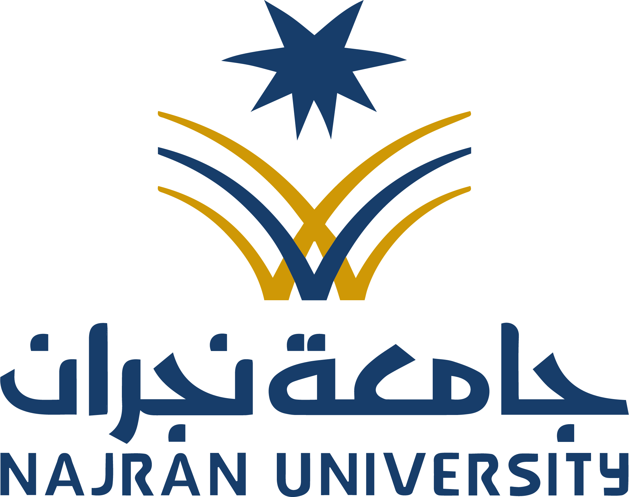 NAJRAN UNIVERSITY